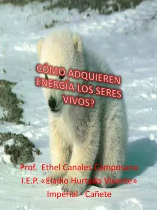 c mo adquieren energ a los seres vivos