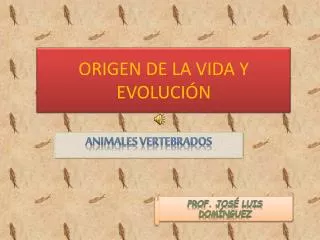 origen de la vida y evoluci n