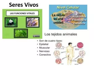 seres vivos