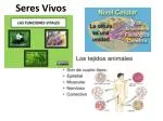 Seres Vivos - slide 1