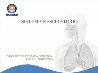 elaborado por evelyn ugalde madrigal rodrigo llamosas meza