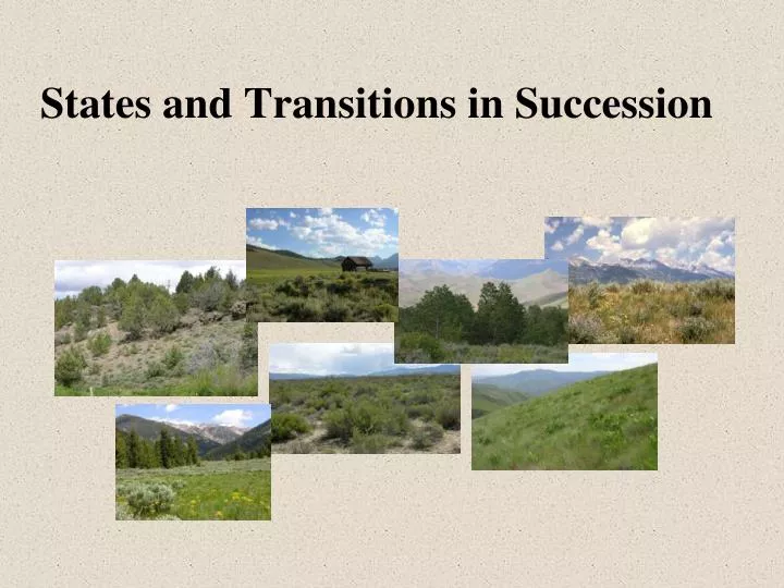states and transitions in succession