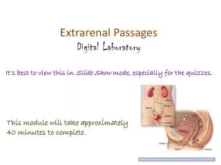Extrarenal Passages Digital Laboratory