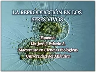 la reproducci n en los seres vivos