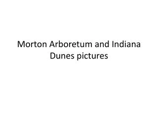 Morton Arboretum and Indiana Dunes pictures