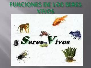 funciones de los seres vivos