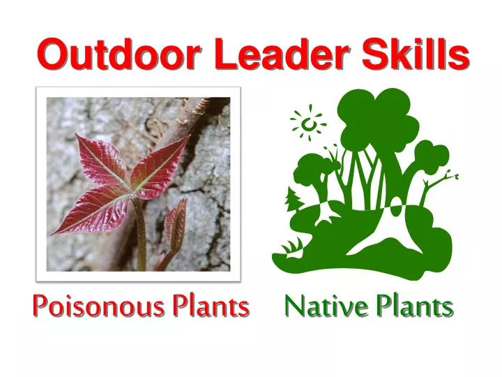 outdoor leader skills