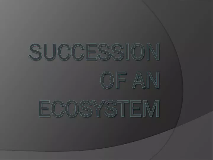 succession of an ecosystem