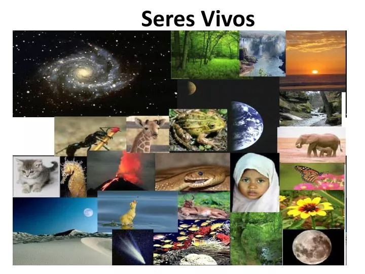 seres vivos