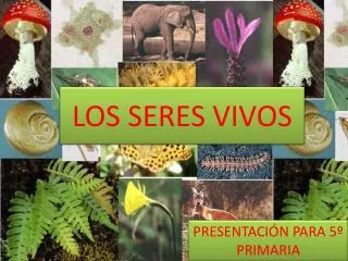 los seres vivos