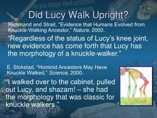 Did Lucy Walk Upright?
