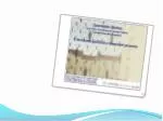 Obiectivul prezent ării - slide 1