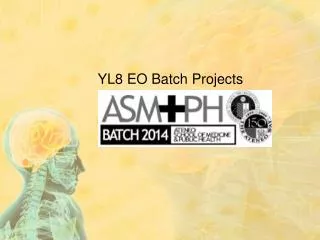 YL8 EO Batch Projects