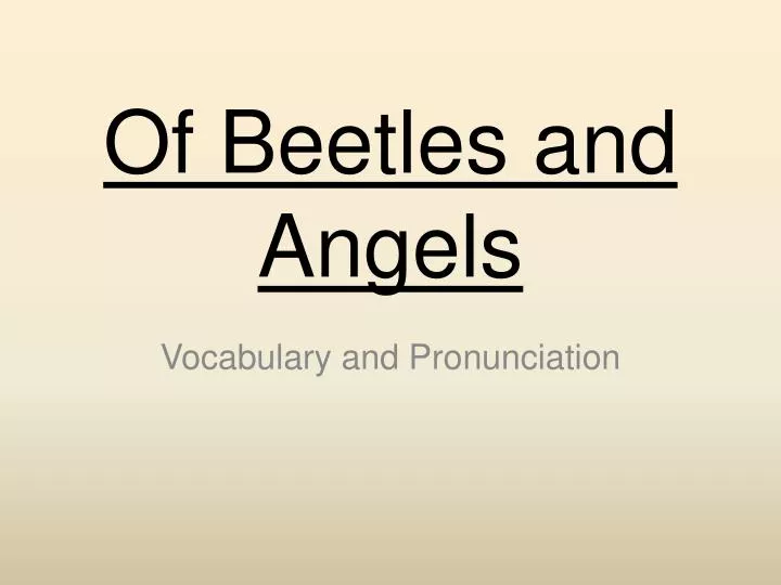 of beetles and angels