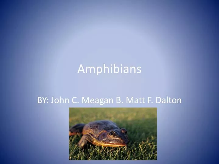 amphibians