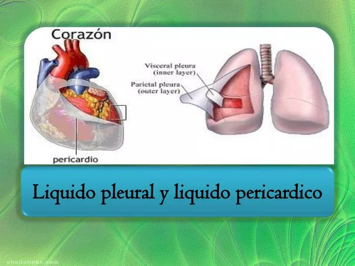 liquido pleural y liquido pericardico