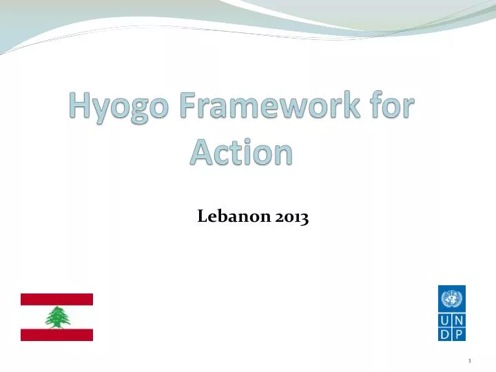 hyogo framework for action