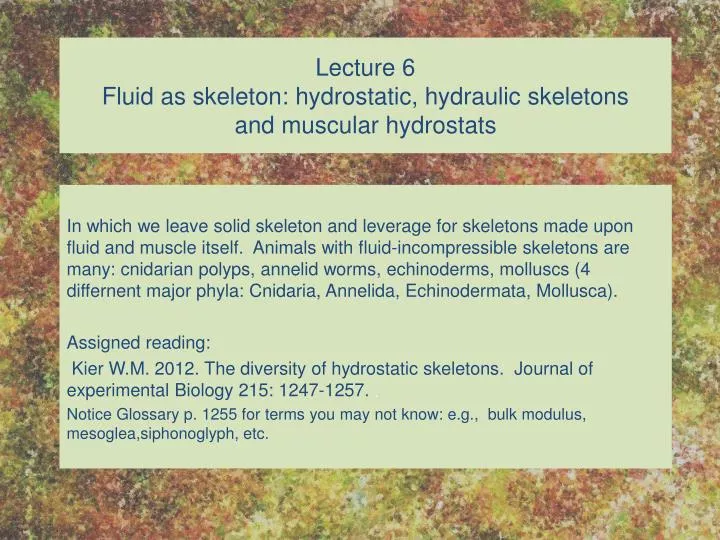 lecture 6 fluid as skeleton hydrostatic hydraulic skeletons and muscular hydrostats