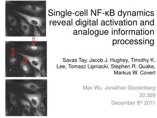 Single-cell NF- ?B dynamics reveal digital activation and analogue information processing