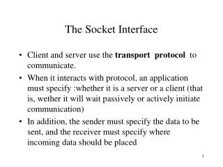 The Socket Interface