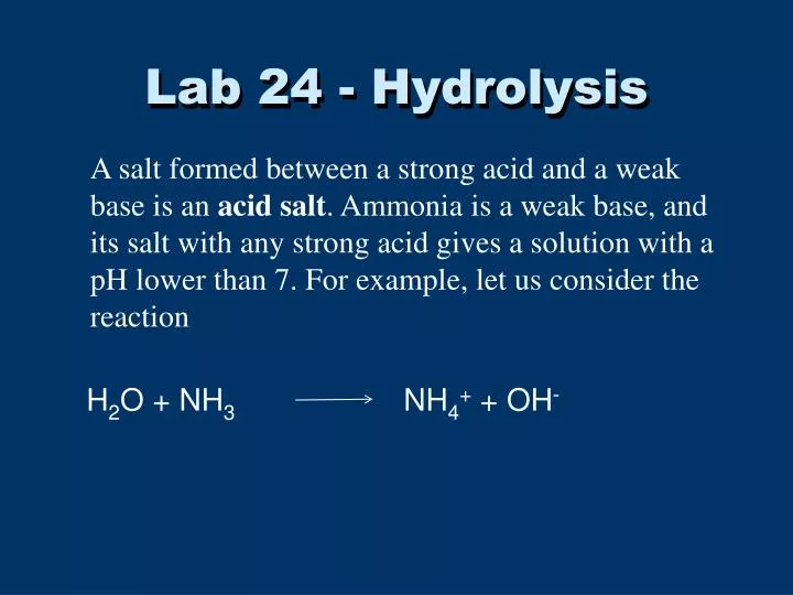 lab 24 hydrolysis