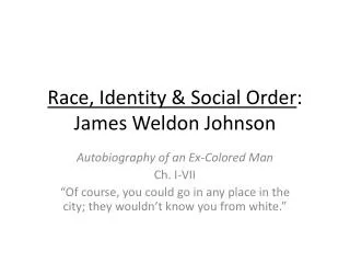Race, Identity &amp; Social Order : James Weldon Johnson