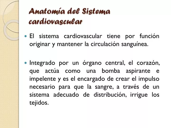 anatom a del sistema cardiovascular