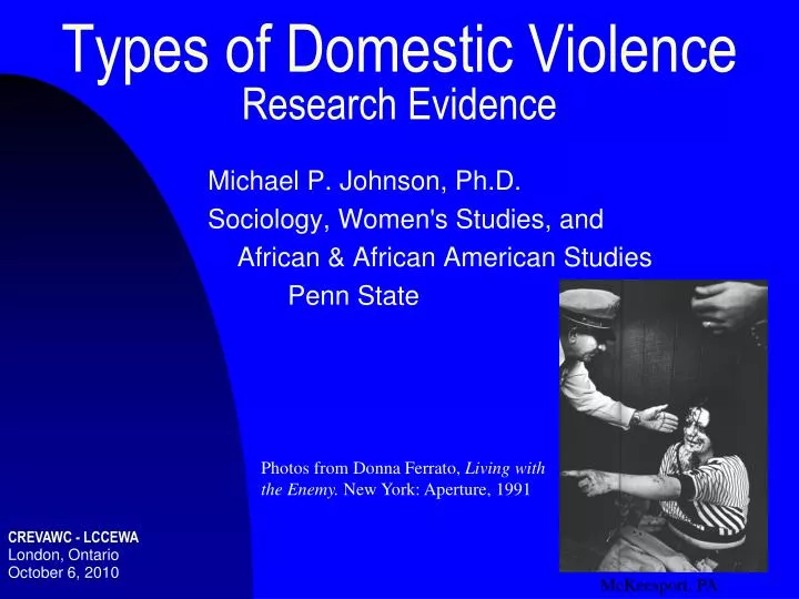 types of domestic violence research evidence