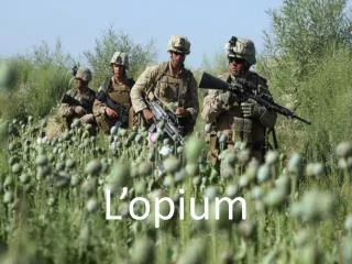l opium