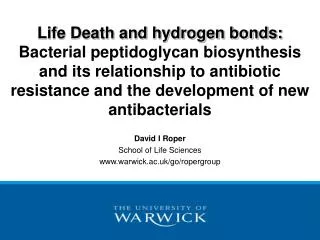 Life Death and hydrogen bonds: