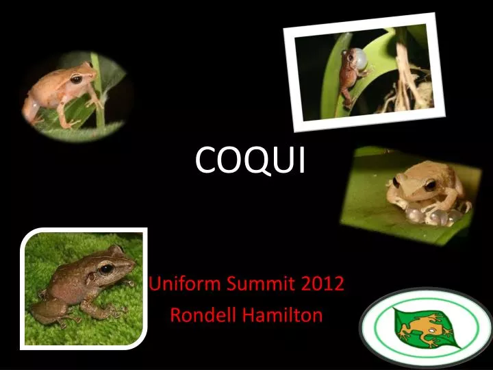 coqui