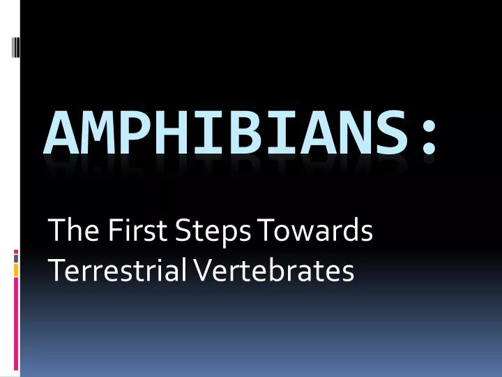 the first steps towards terrestrial vertebrates