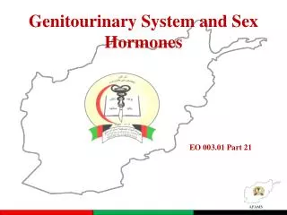 Genitourinary System and Sex Hormones