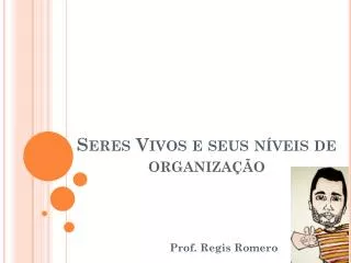 seres vivos e seus n veis de organiza o