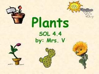 Plants SOL 4.4 by: Mrs. V