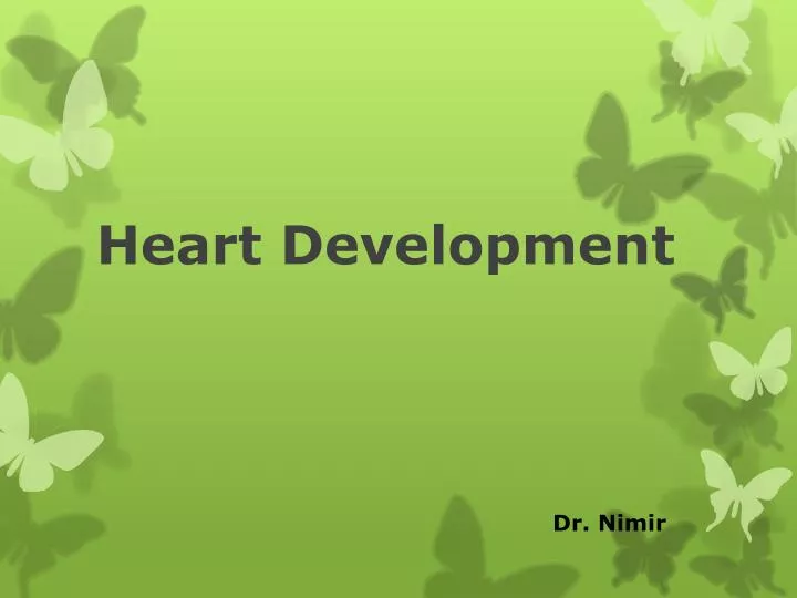 heart development