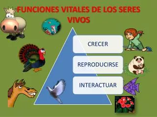 funciones vitales de los seres vivos