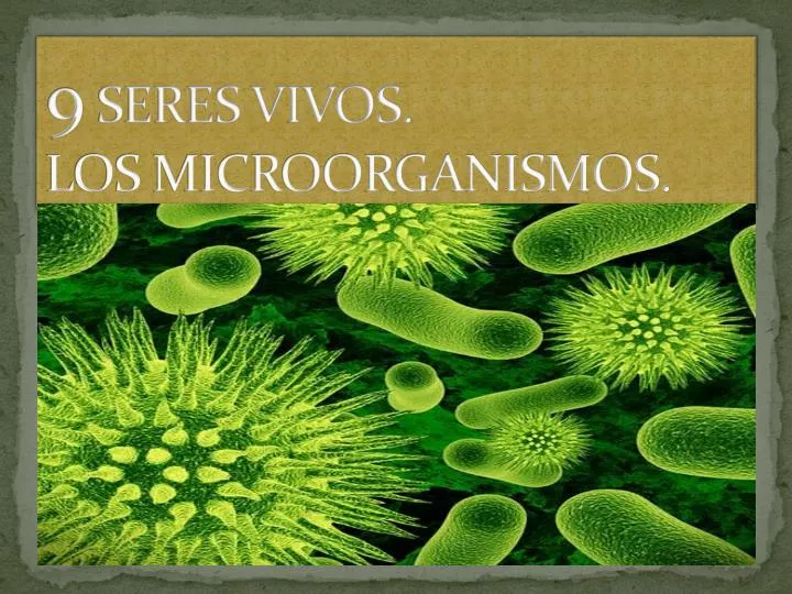 9 seres vivos los microorganismos