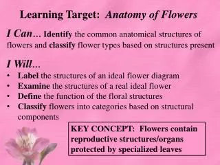 Learning Target: Anatomy of Flowers