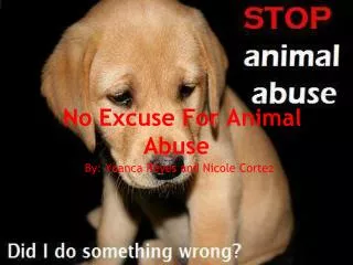 No Excuse For Animal Abuse