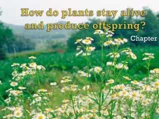 How do plants stay alive and produce offspring?