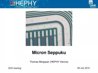 Micron Seppuku