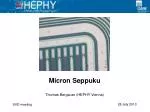 Micron Seppuku - slide 1