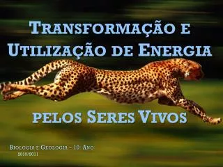 biologia e geologia 10 ano