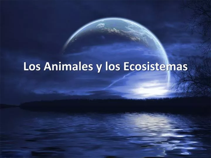 los animales y los ecosistemas