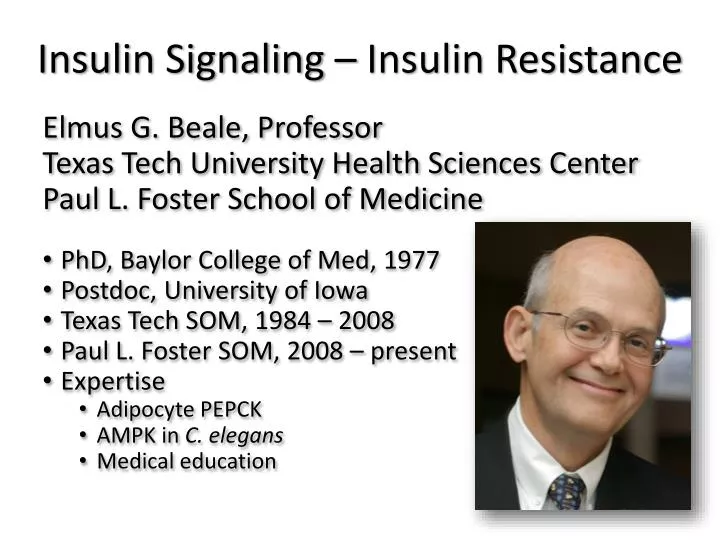 insulin signaling insulin resistance