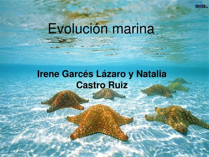 evoluci n marina