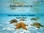 Evolución marina - slide 1