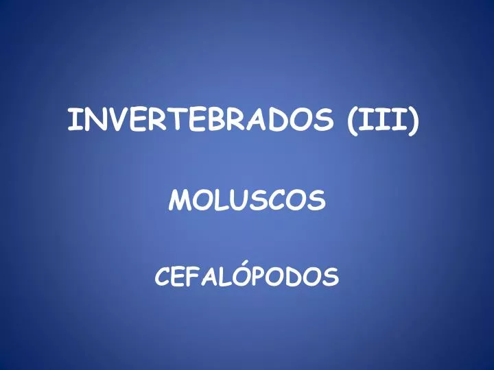 invertebrados iii