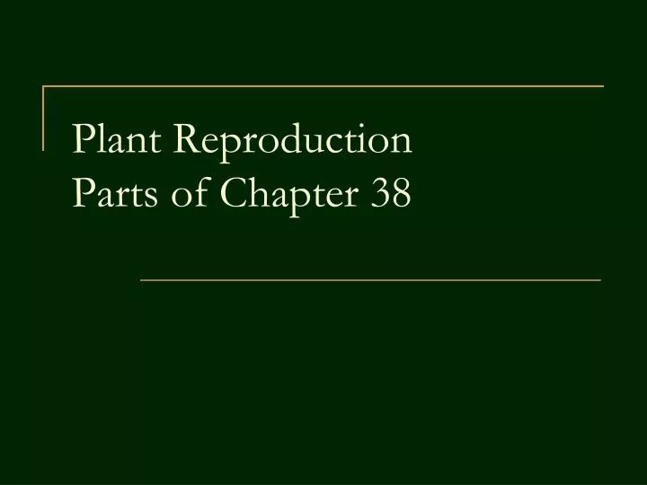 plant reproduction parts of chapter 38